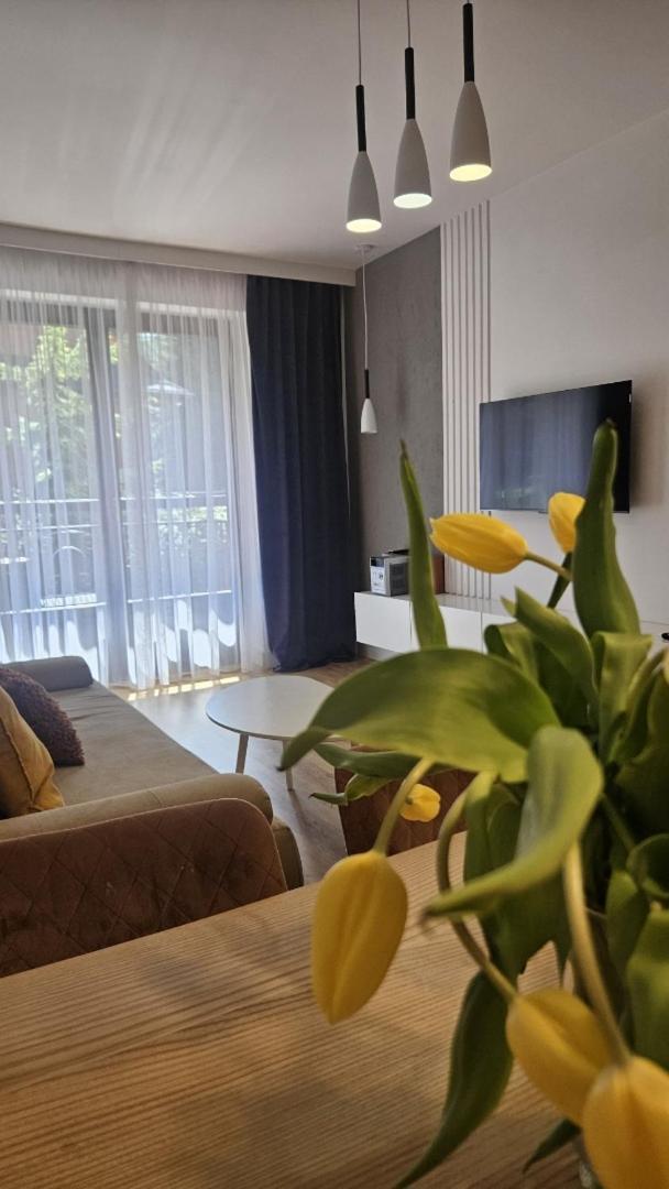Apart4You Apartamenty Bulwary25 Zakopane Phòng bức ảnh