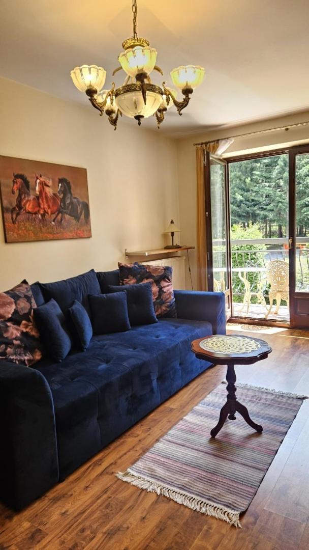 Apart4You Apartamenty Bulwary25 Zakopane Phòng bức ảnh